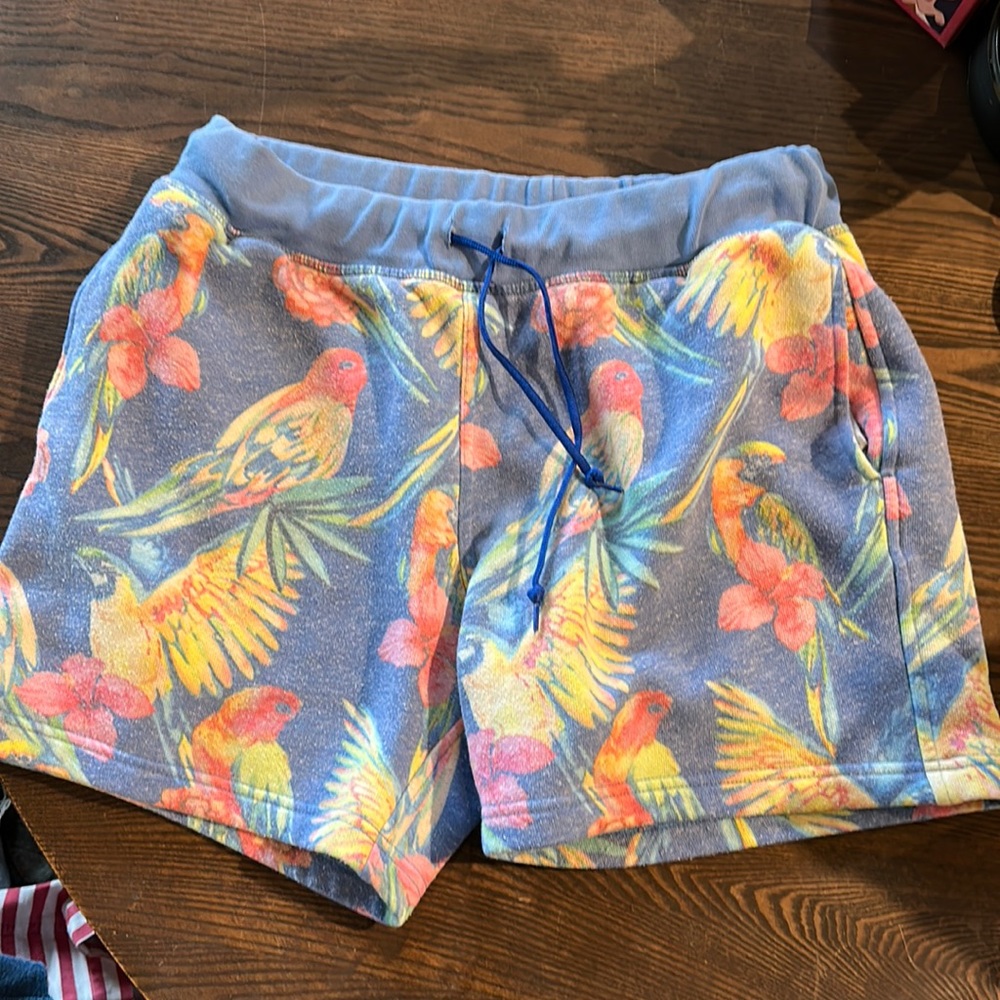 Chubbies tropical sweat shorts